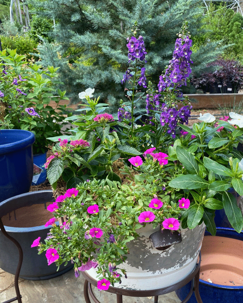 Purple petunias in a planter