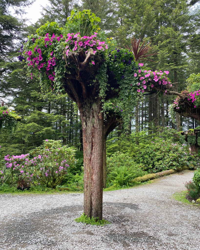 An updside-down live tree planted with colorful annuals in a garden