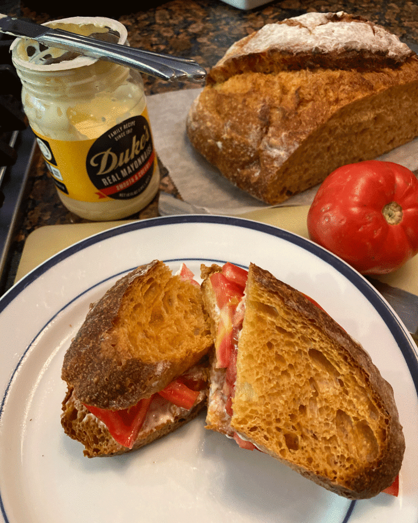 A tomato sandwich on a plate with mayo jar, tomato and rustic bread on kitchen counter