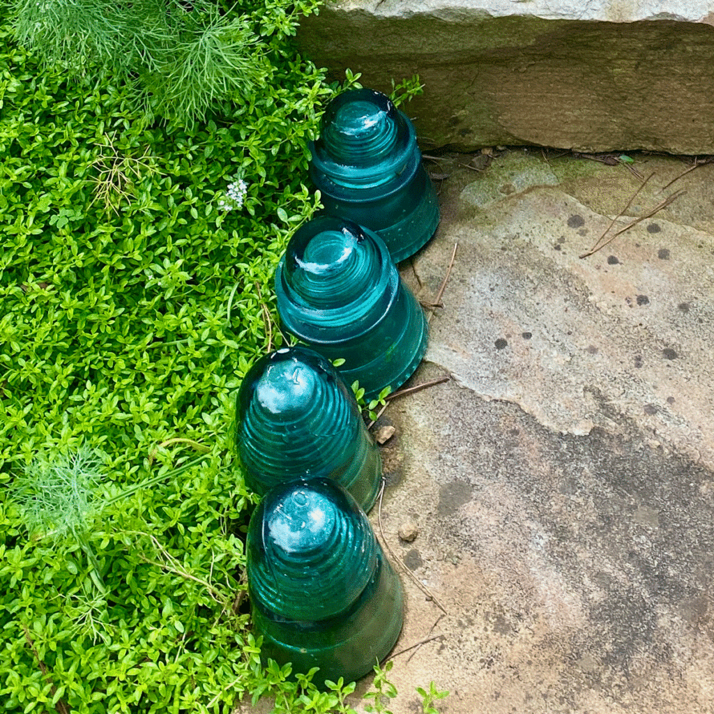 A row of turquoise blue glass insulators by a garden path