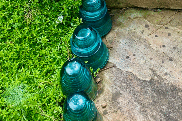 Blue insulators mark a garden path between lawn and steps