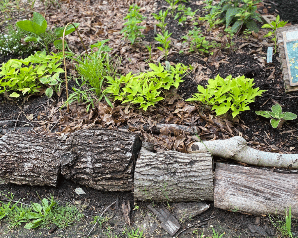 Logs bordering a garden