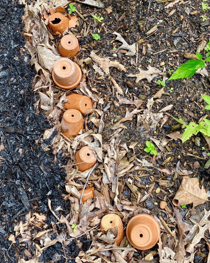 Terra cotta pots border a garden