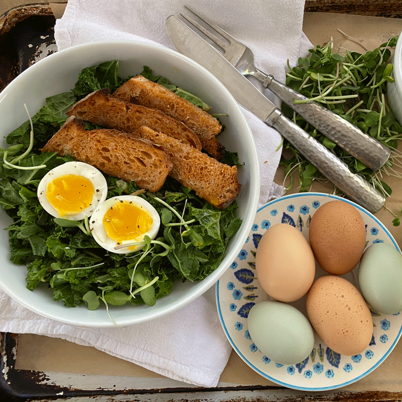 A green salad with a jammy egg and croutons in a bowl with another bowl of colorful eggs