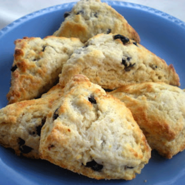 Meyer lemon scones with dried blueberries arranged on a blue plate
