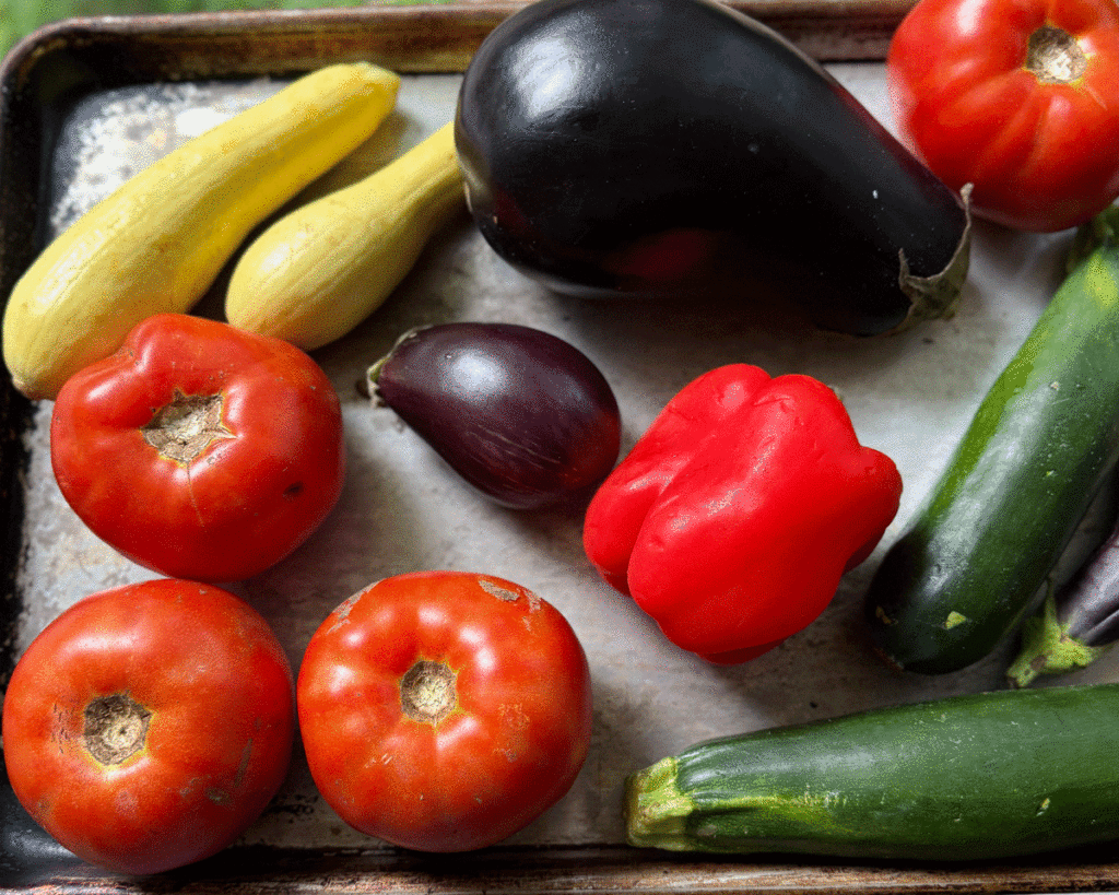 Tomatoes, yellow squash, zucchini and eggplant on a tray for ratatouille recipe