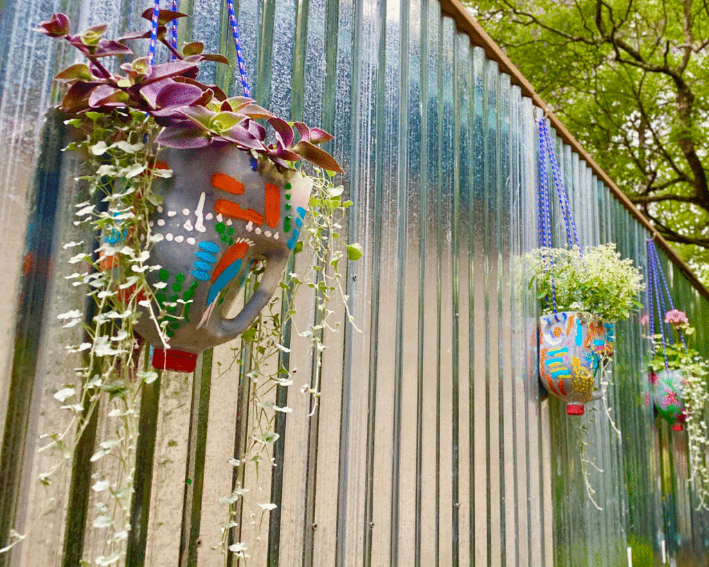Hanging basket planters made of milk jugs on a corrugated metal wall