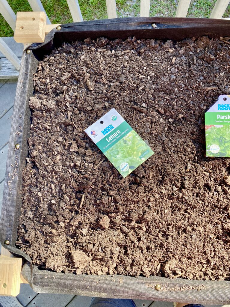 Lettuce seed packet on soil in a raised garden bed